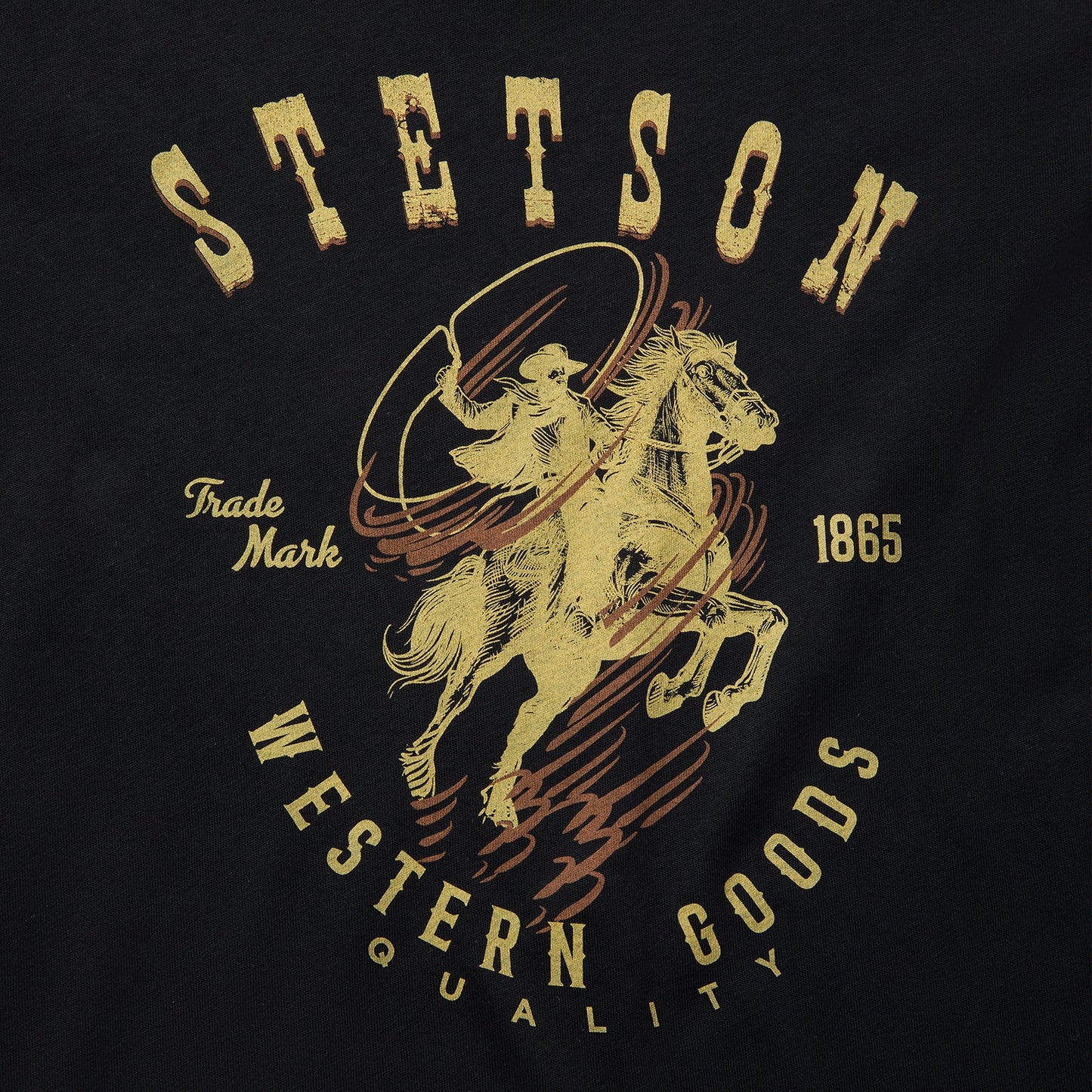 Roping Rider Graphic Tee