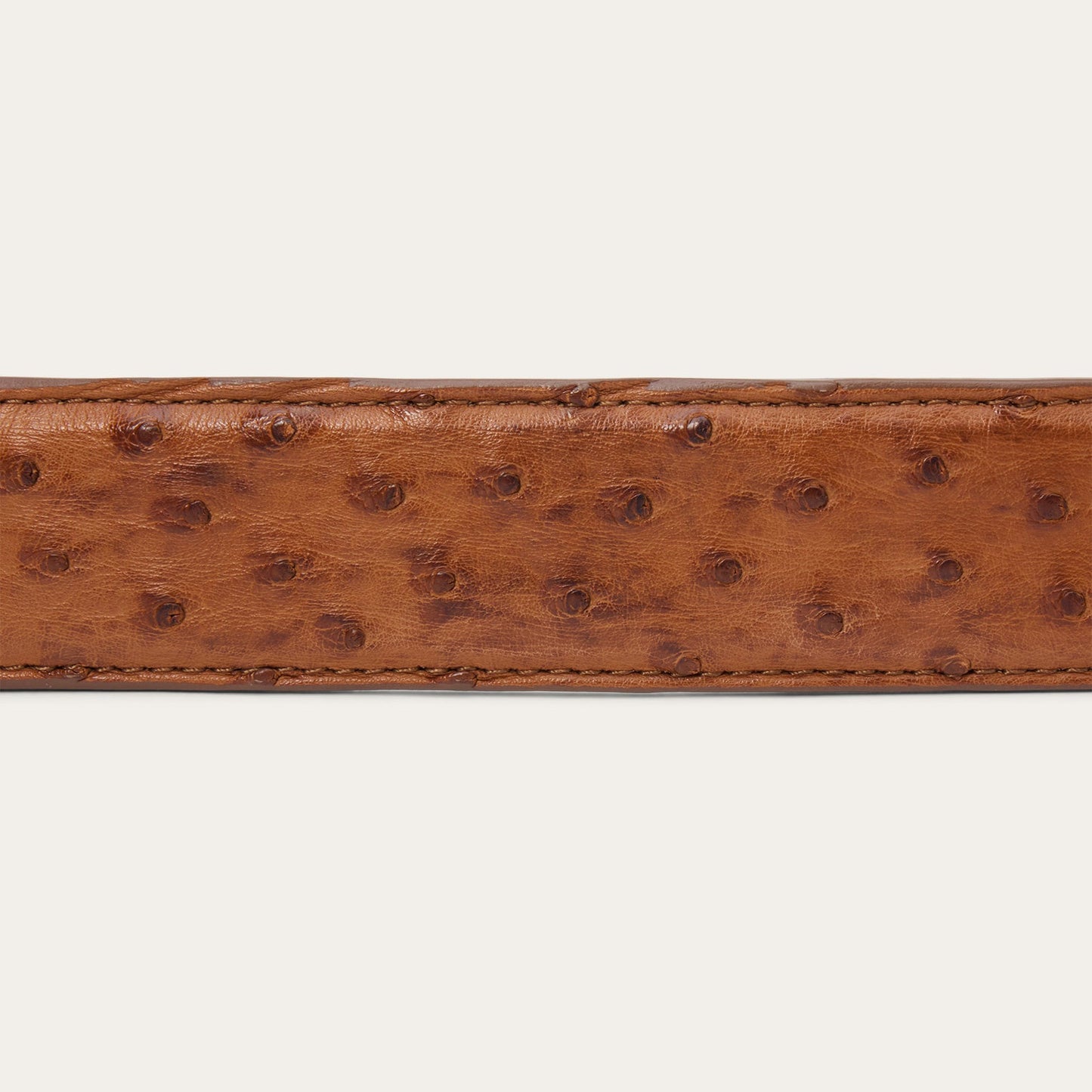 Ostrich Tapered Tab Belt