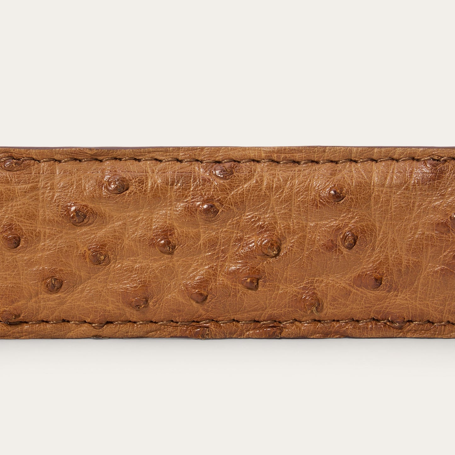 Ostrich Western Tab Belt - 1 1/4" Width