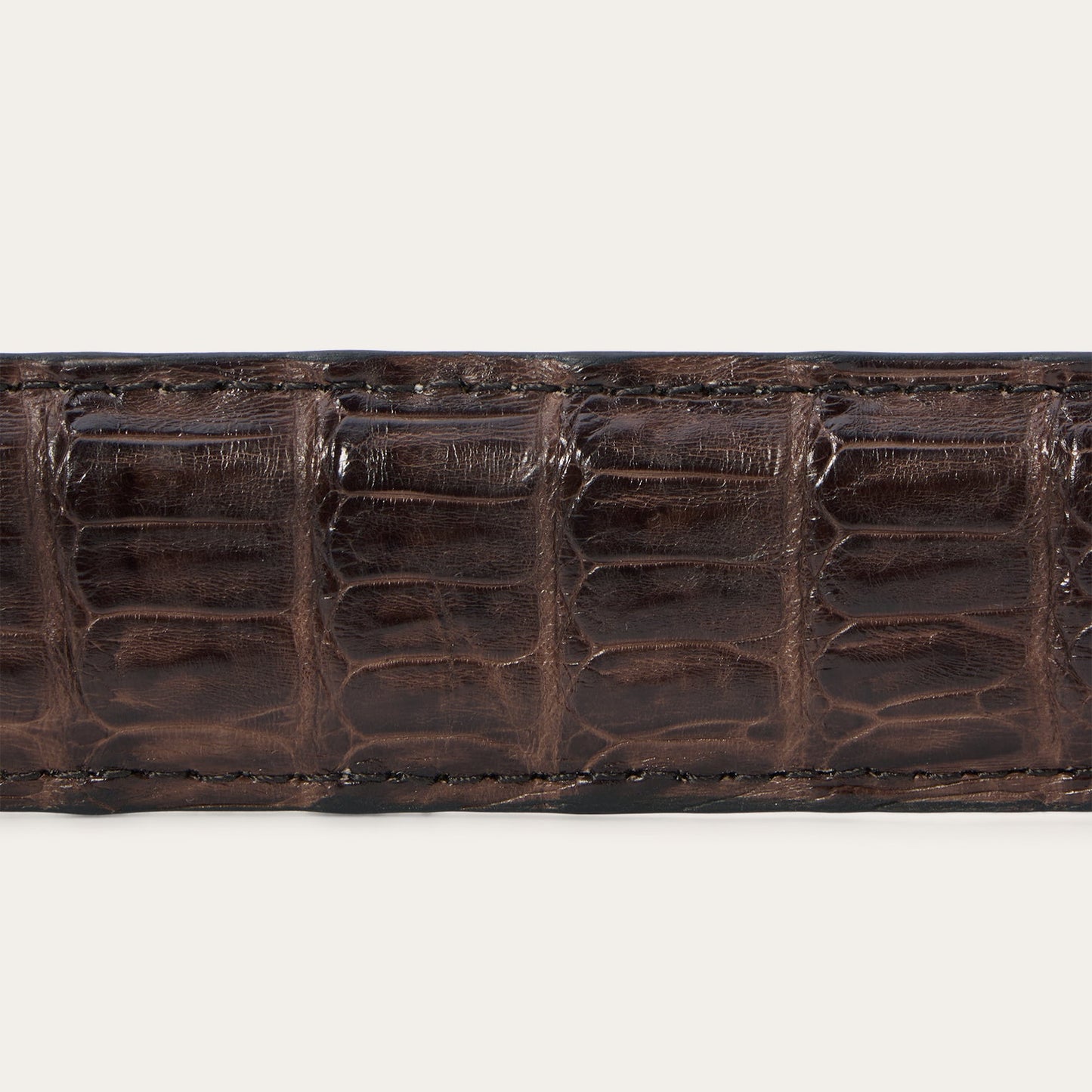 Caiman Western Tab Belt - 1 1/4" Width