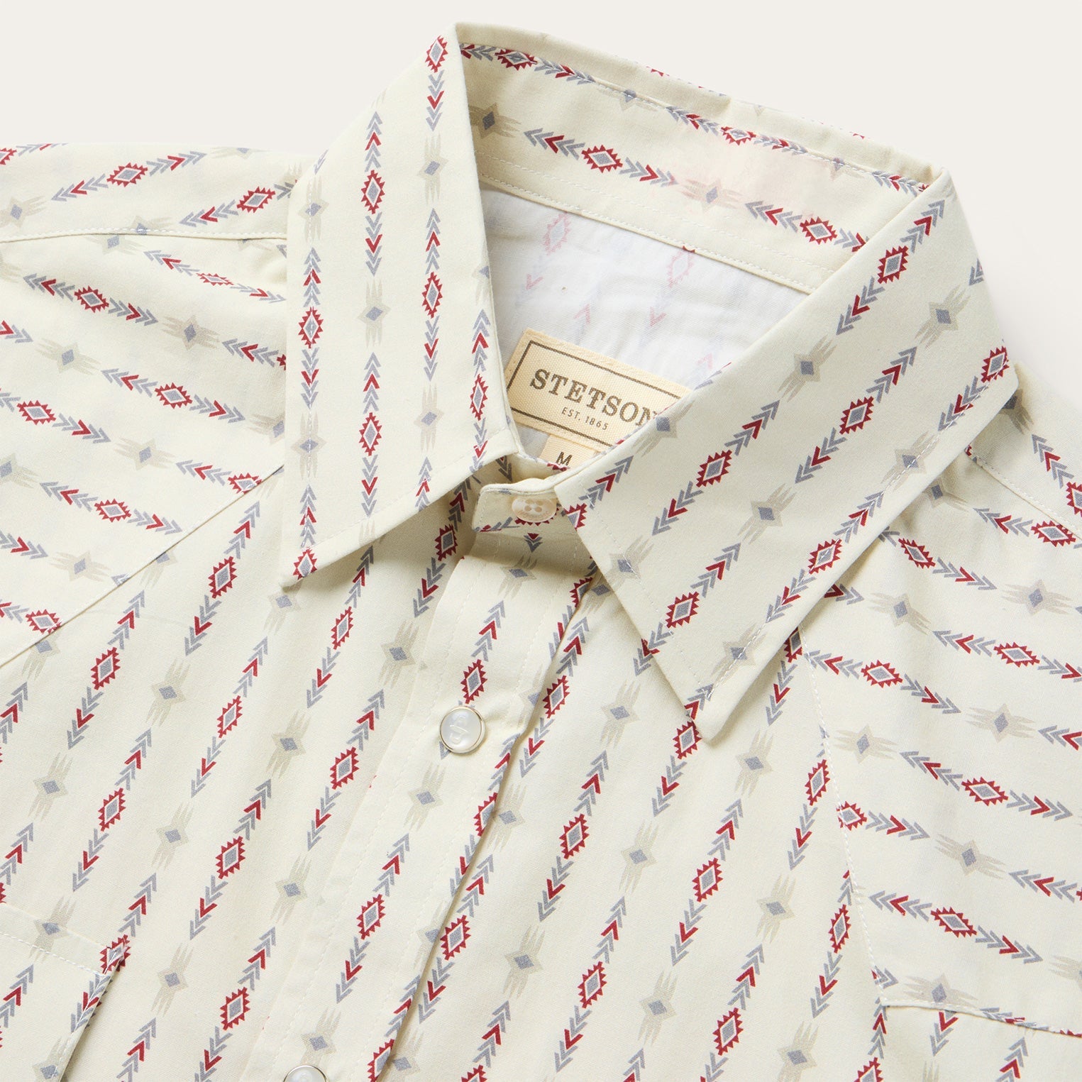Southwest Stripe Western Shirt