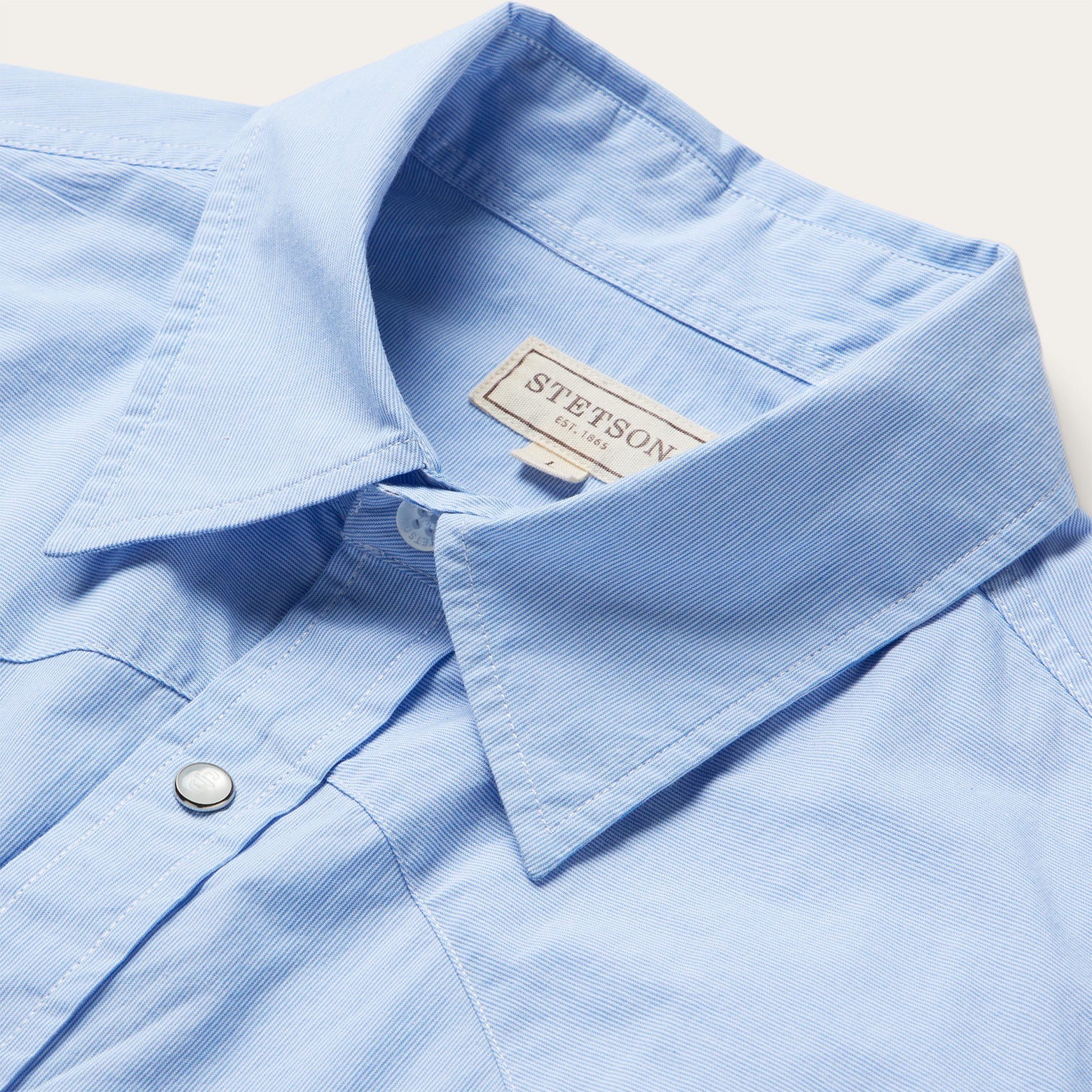 Fine Line Stripe Western Shirt