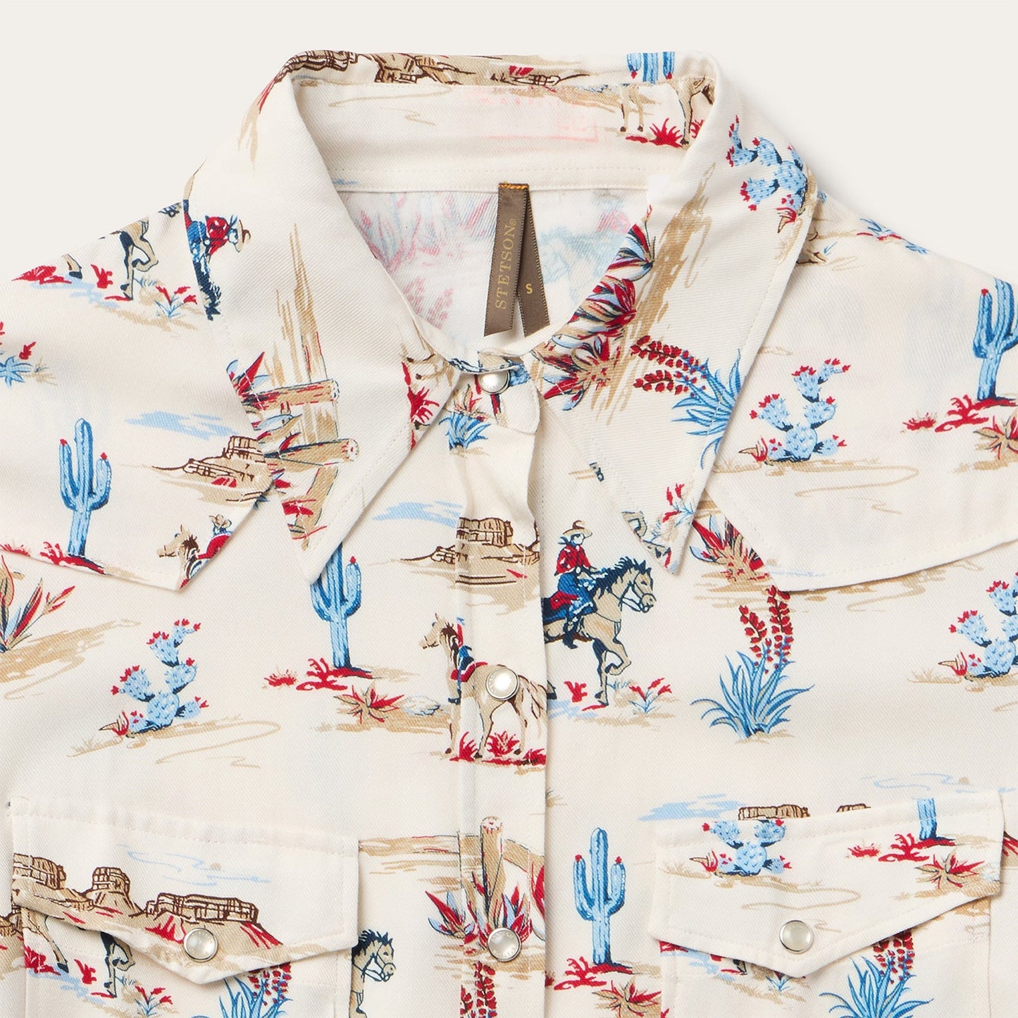 Desert Trail Print Western Shirt