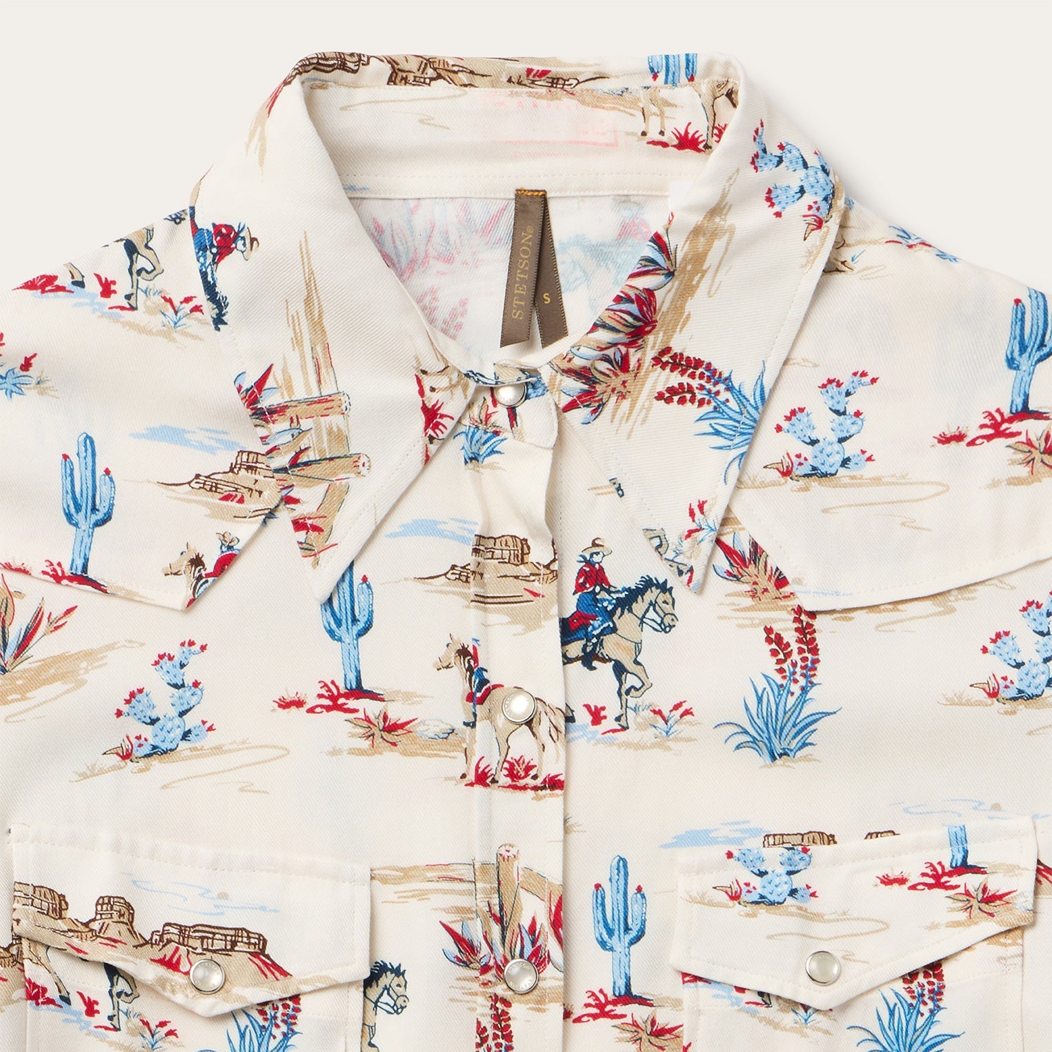 Desert Trail Print Western Shirt