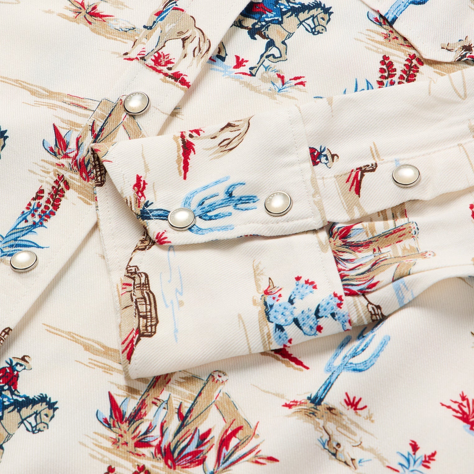 Desert Trail Print Western Shirt