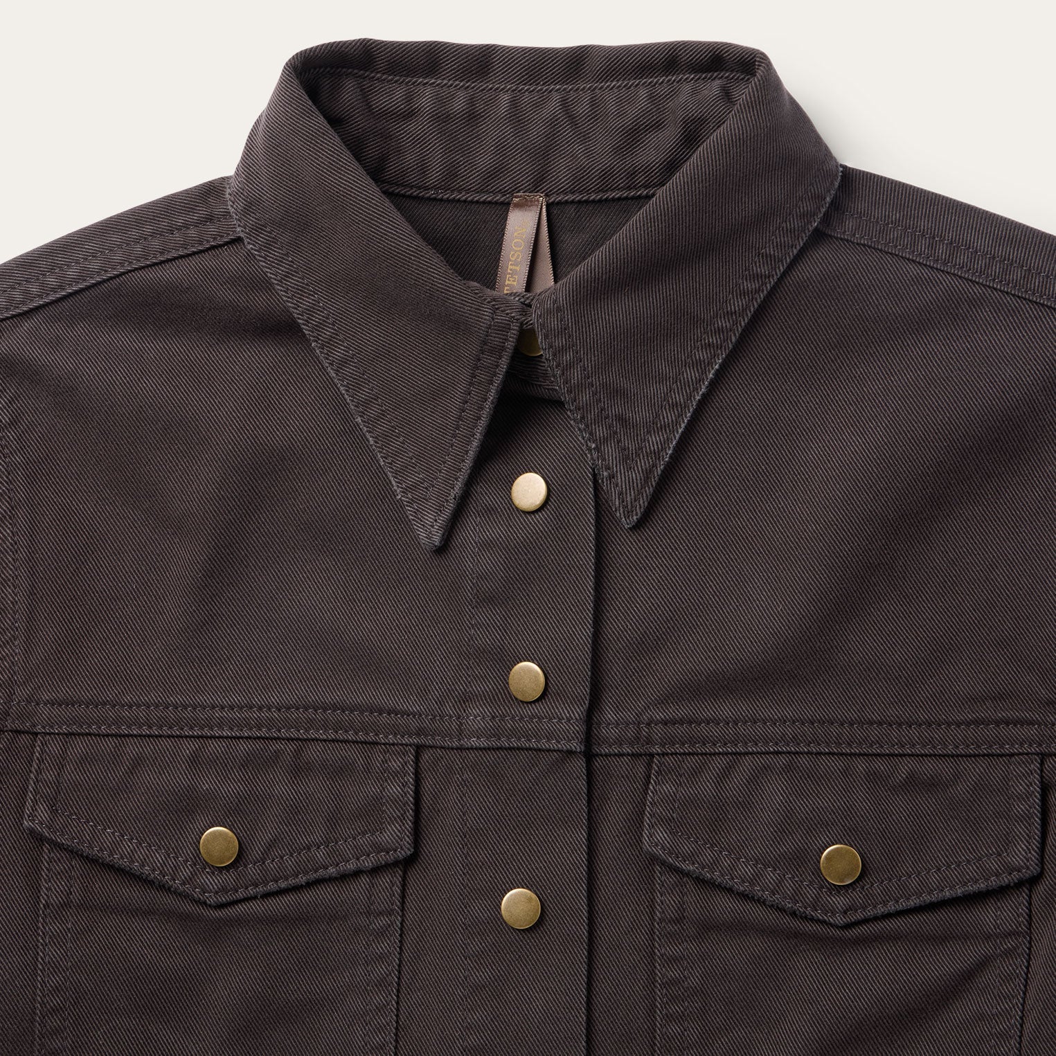 Desert Scene Embroidered Western Shirt