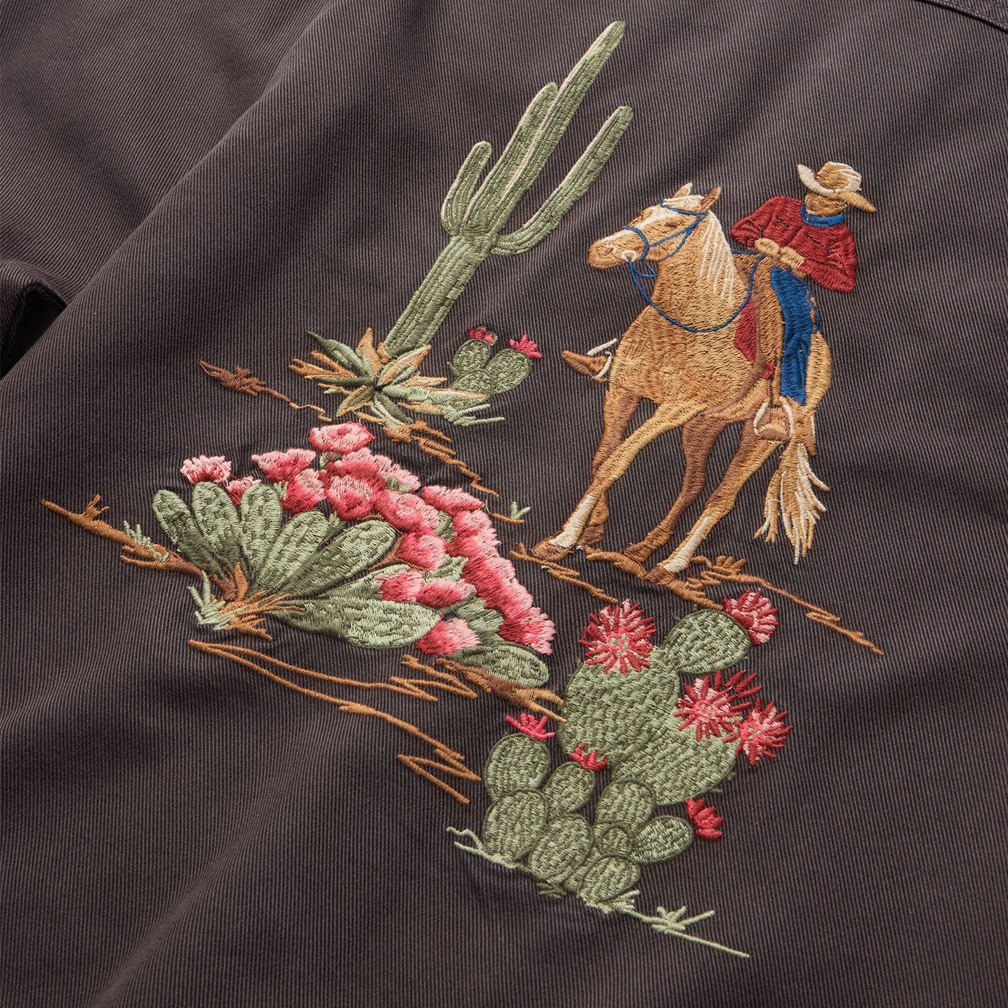 Desert Scene Embroidered Western Shirt