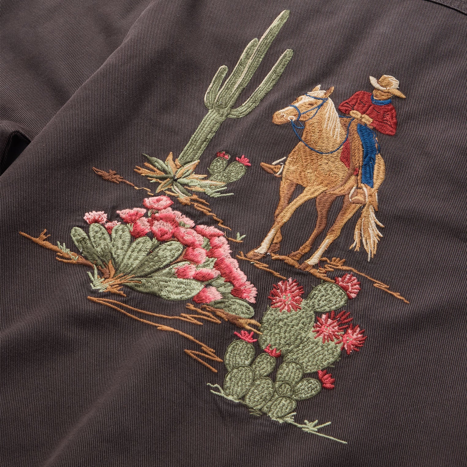 Desert Scene Embroidered Western Shirt