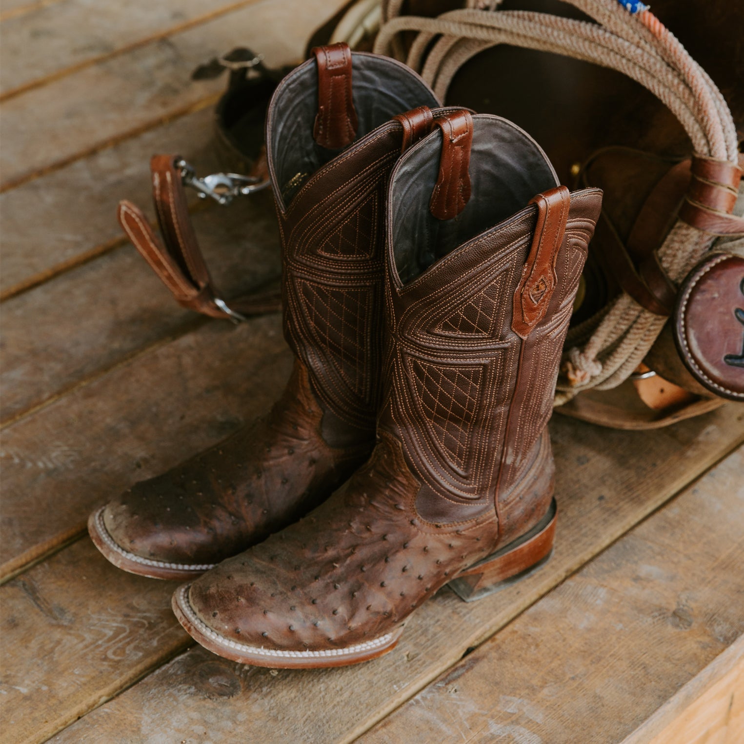 Jackson Boots