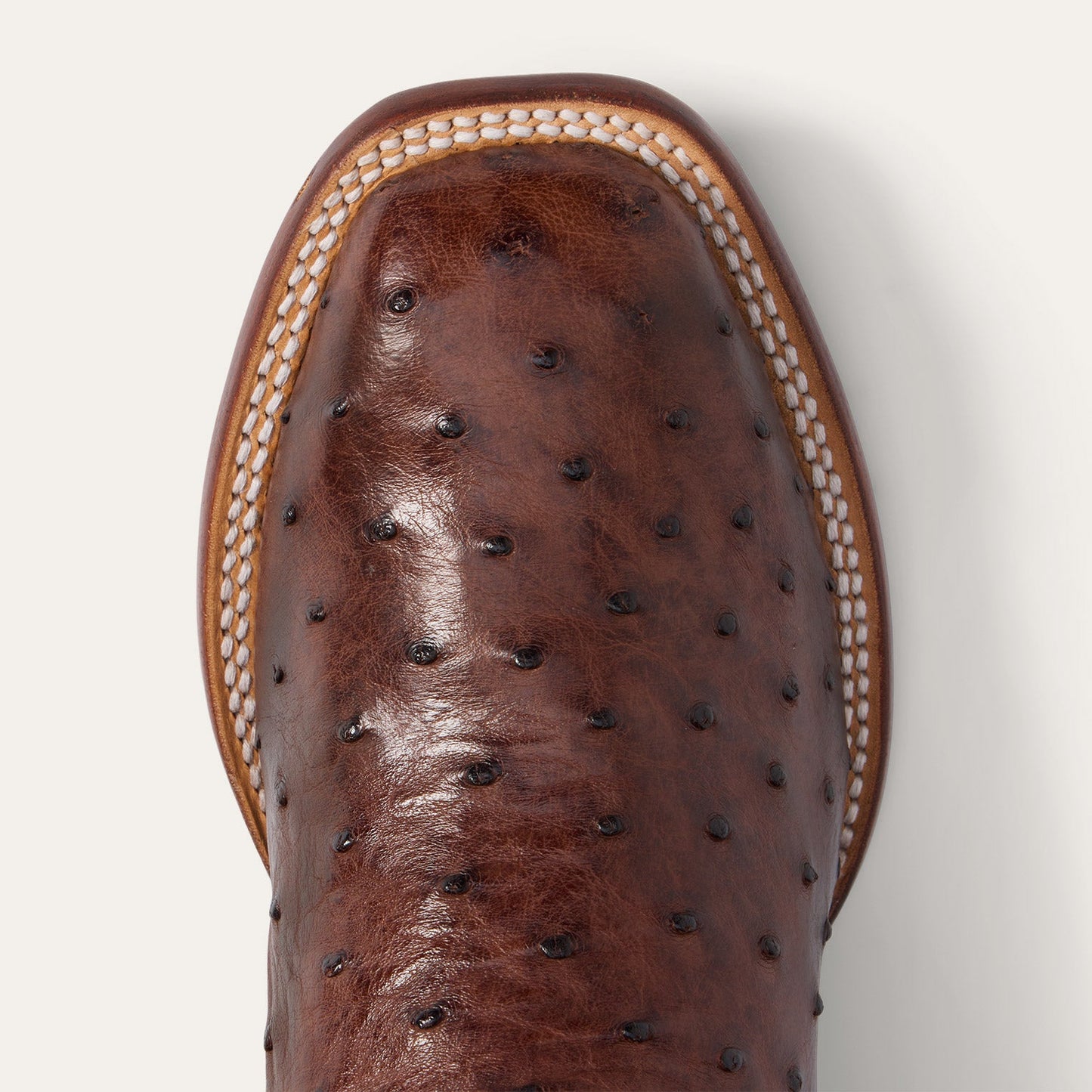 Ozzy Ostrich Boot