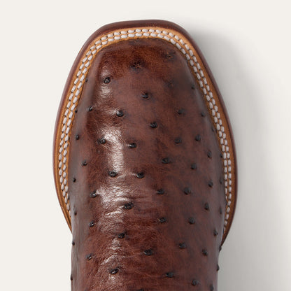 Ozzy Ostrich Boot