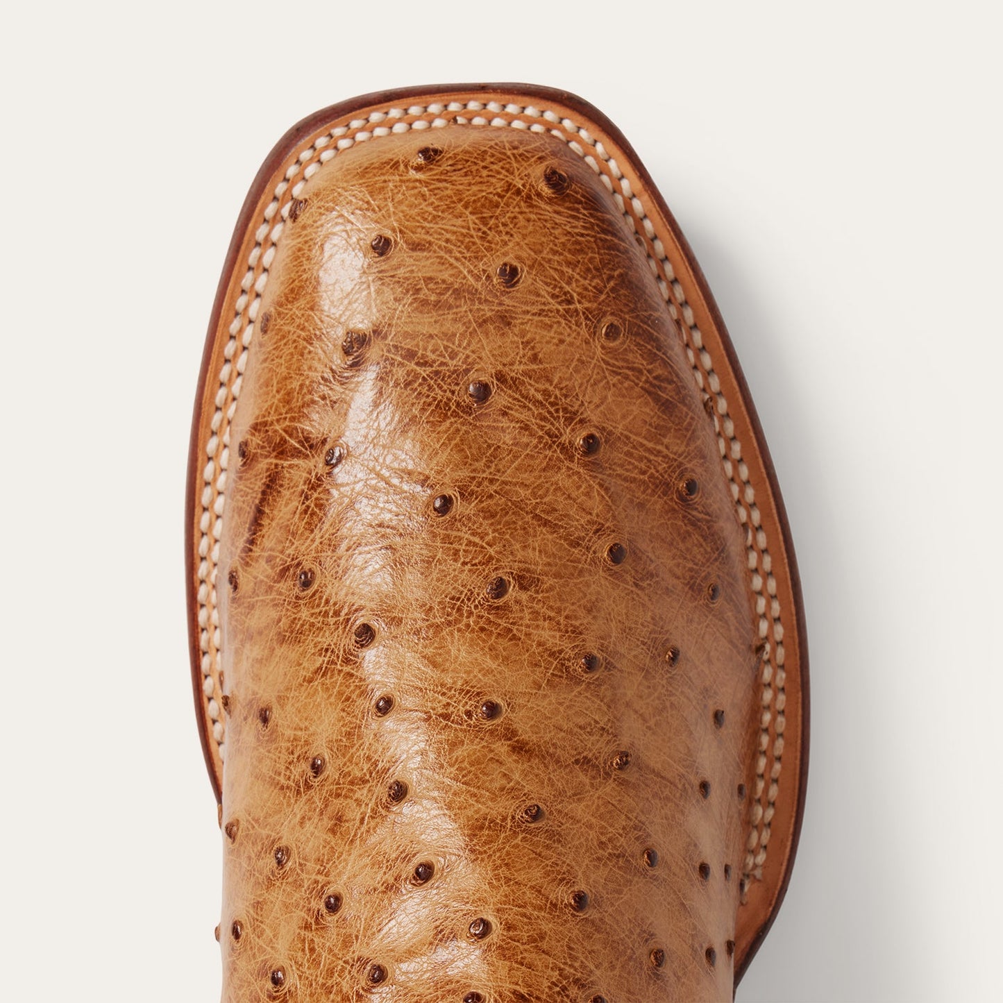 Ozzy Ostrich Boot