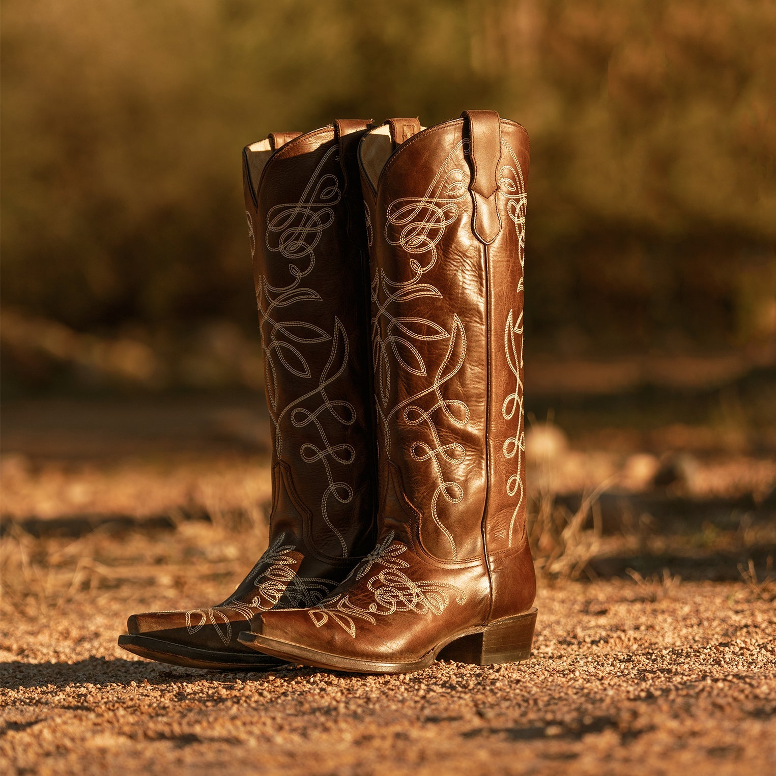 Adeline Burnished Brown Back Zip Cowboy Boot
