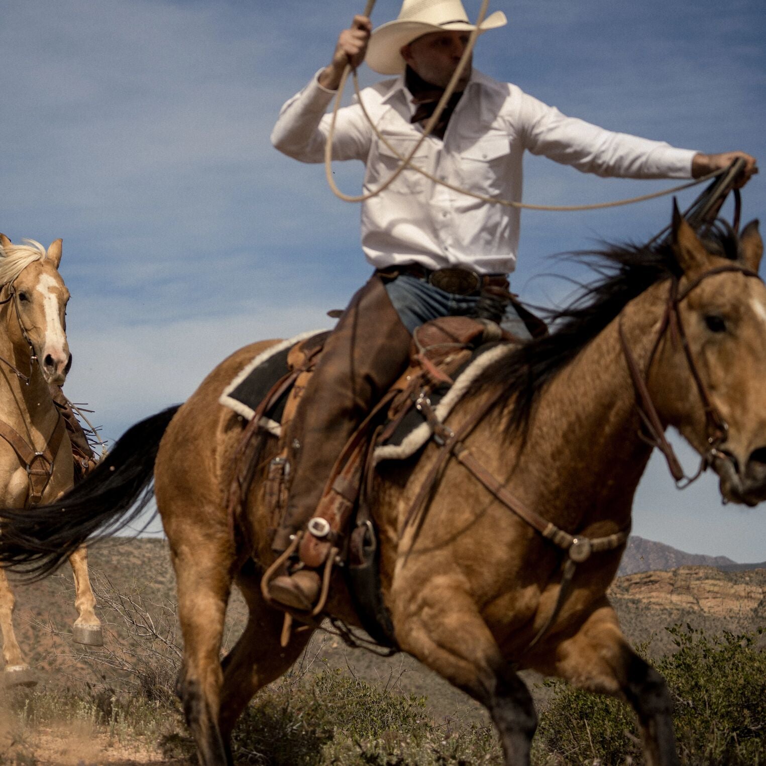 White Oxford Western Shirt