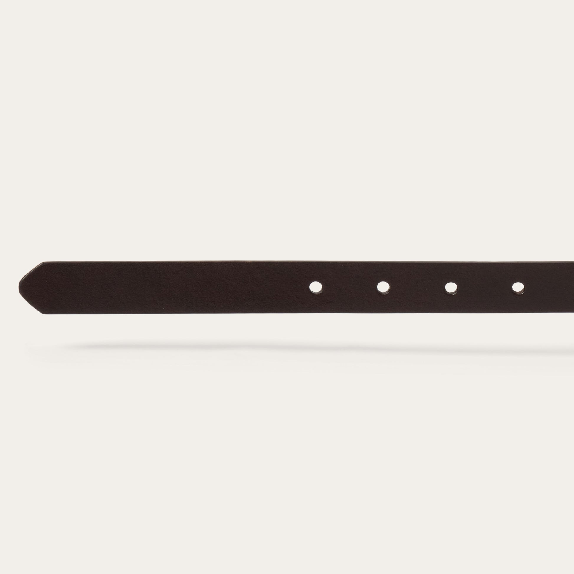 Southwestern Concho Belt