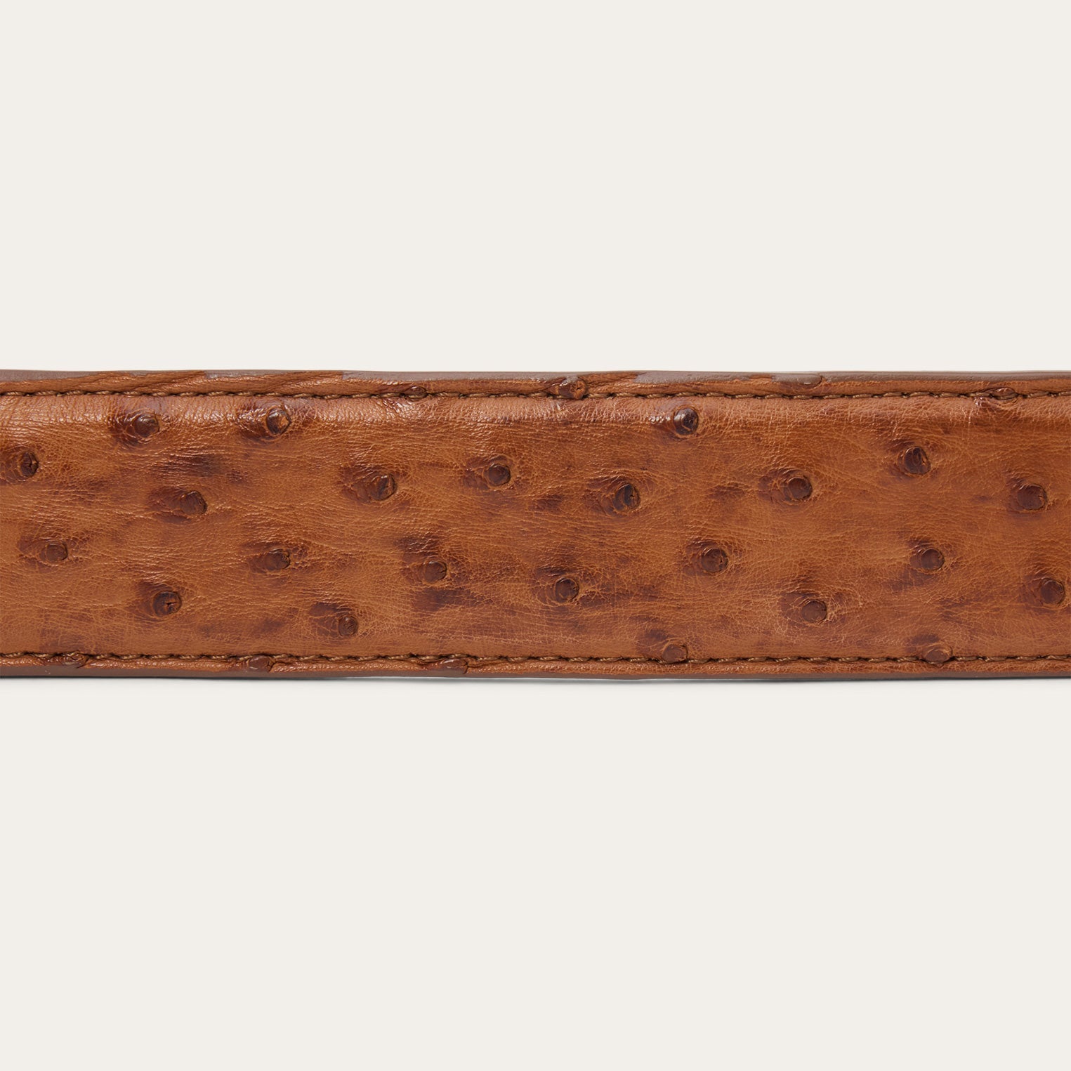 Ostrich Tapered Tab Belt
