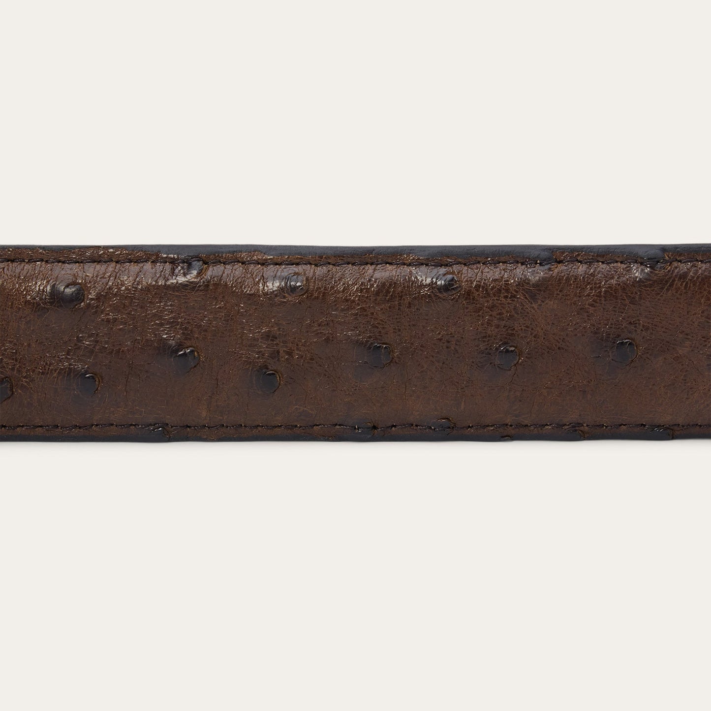 Ostrich Tapered Tab Belt