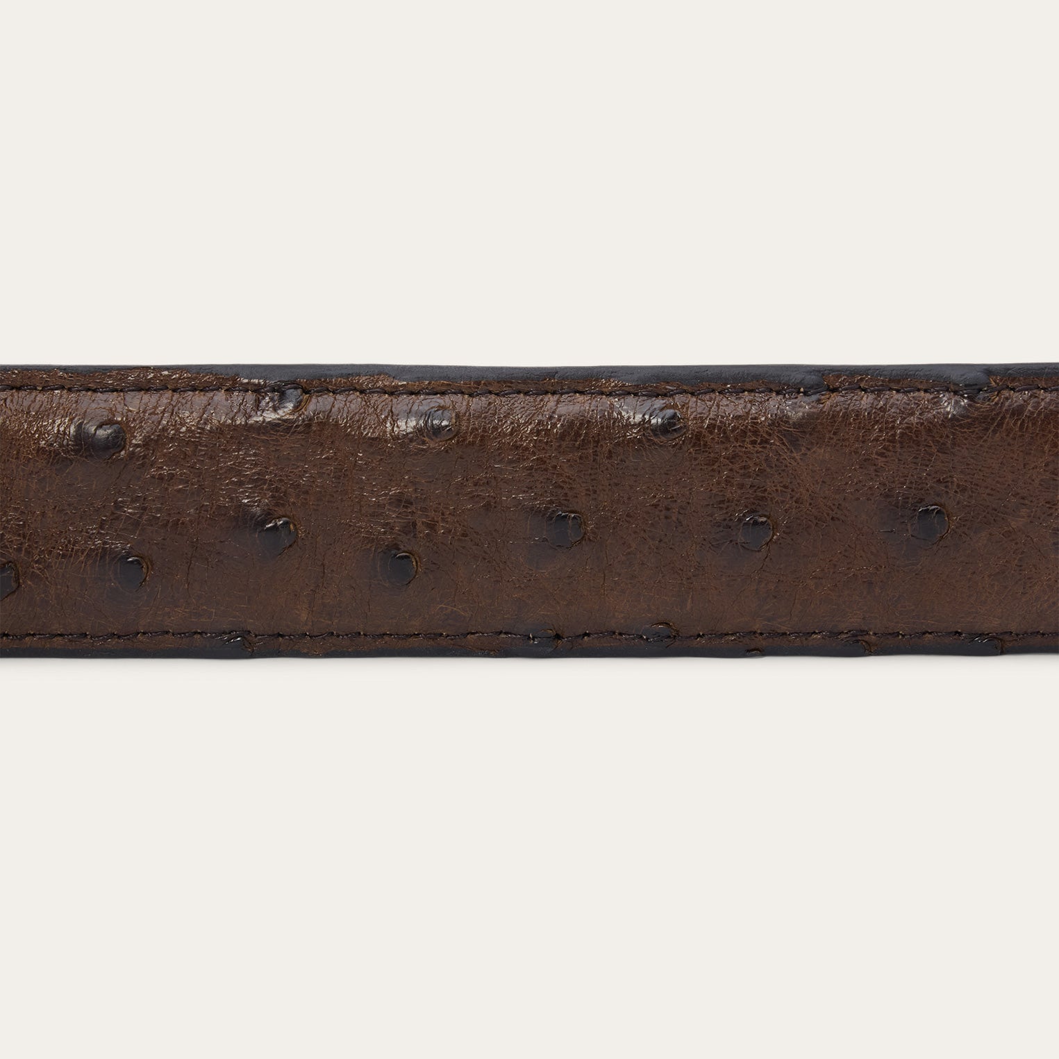 Ostrich Tapered Tab Belt