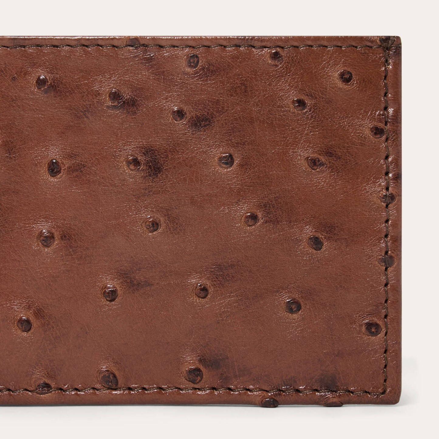 Ostrich Bi-Fold Wallet