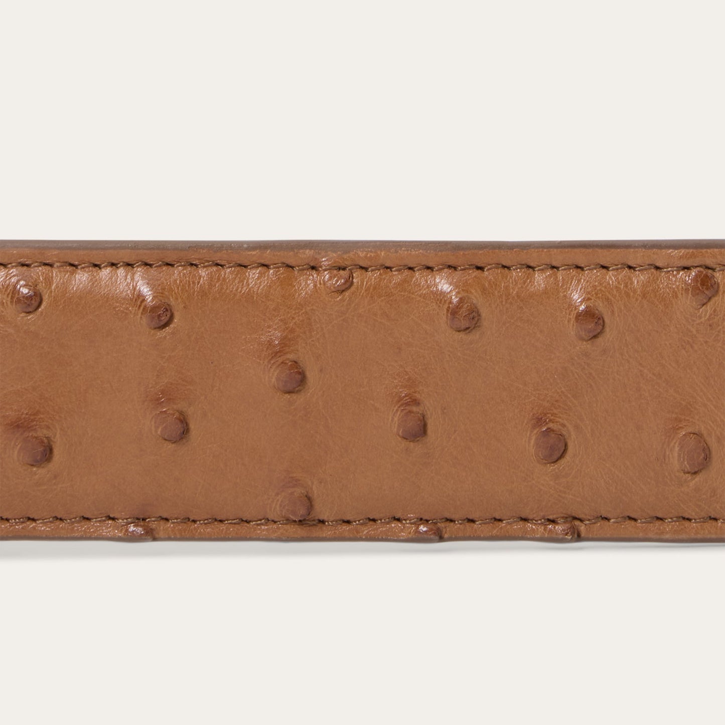 Ostrich Western Tab Belt