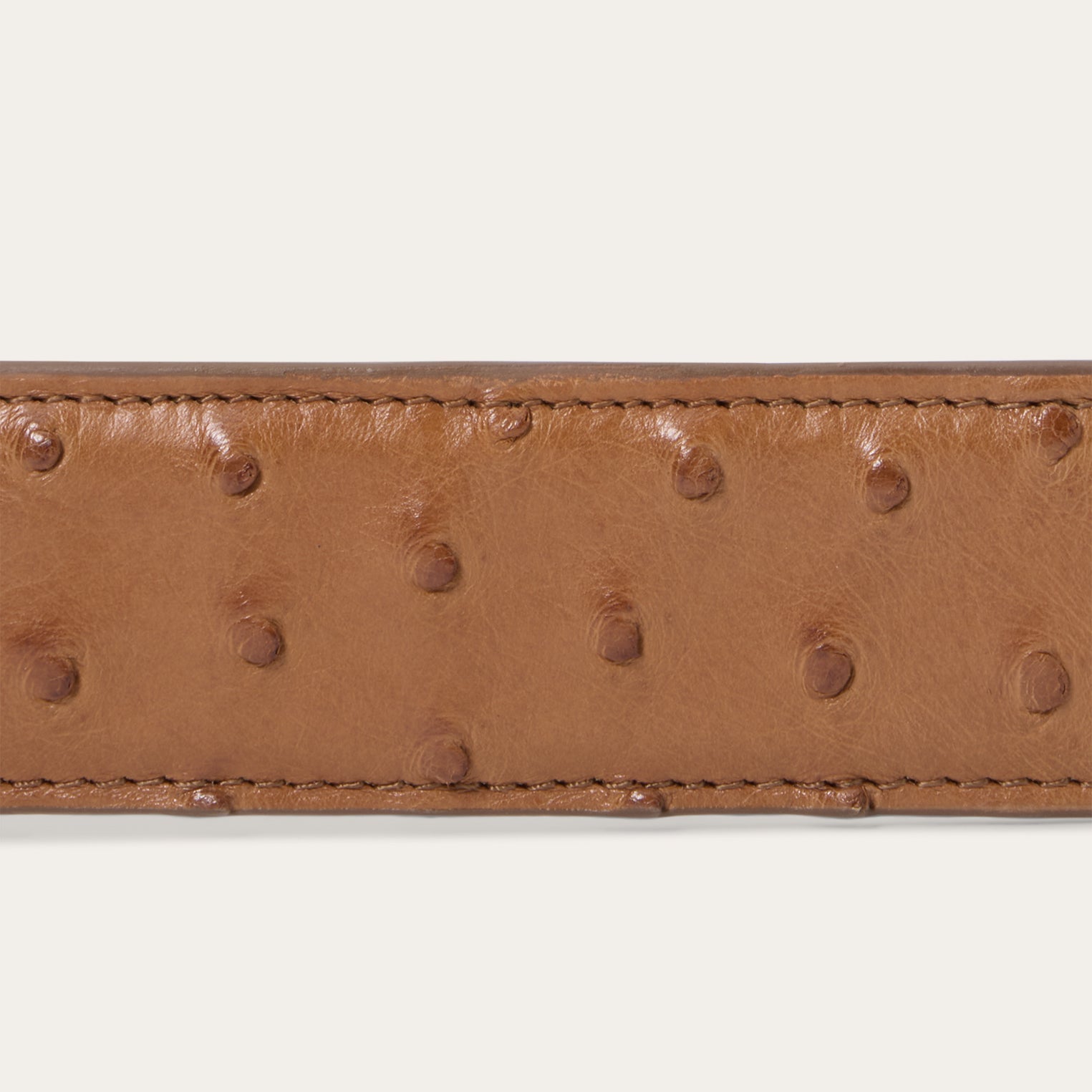 Ostrich Western Tab Belt