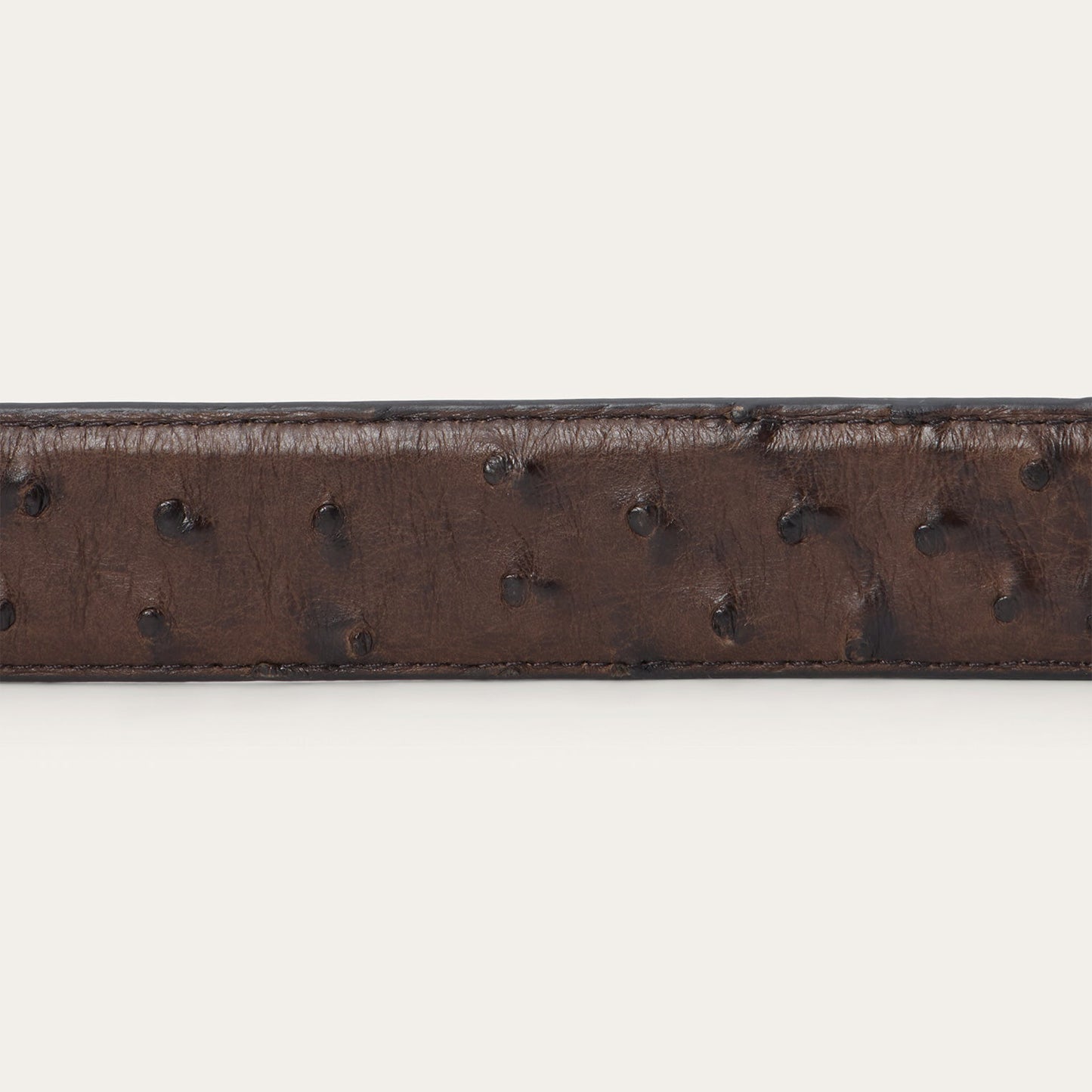 Ostrich Western Tab Belt