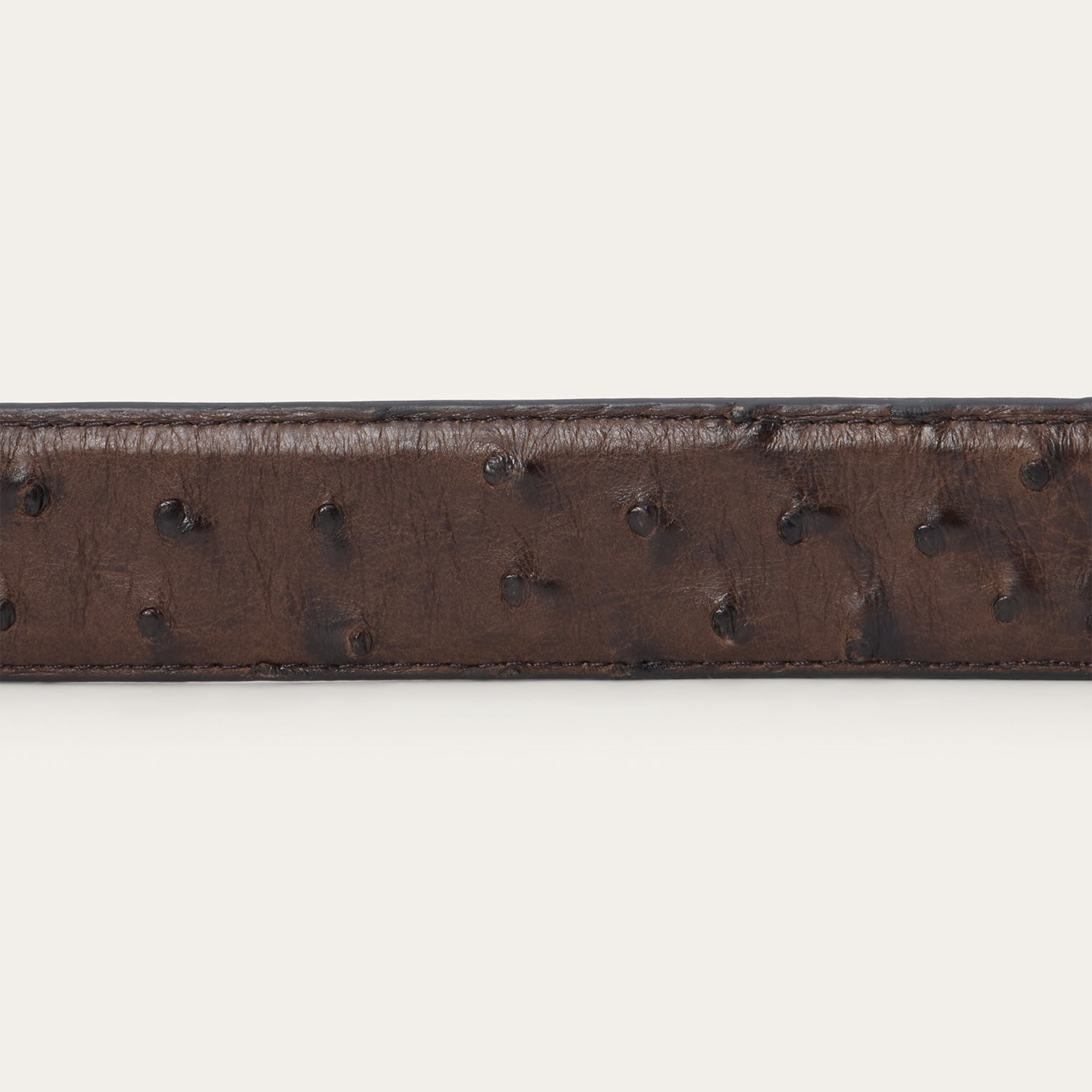 Ostrich Western Tab Belt
