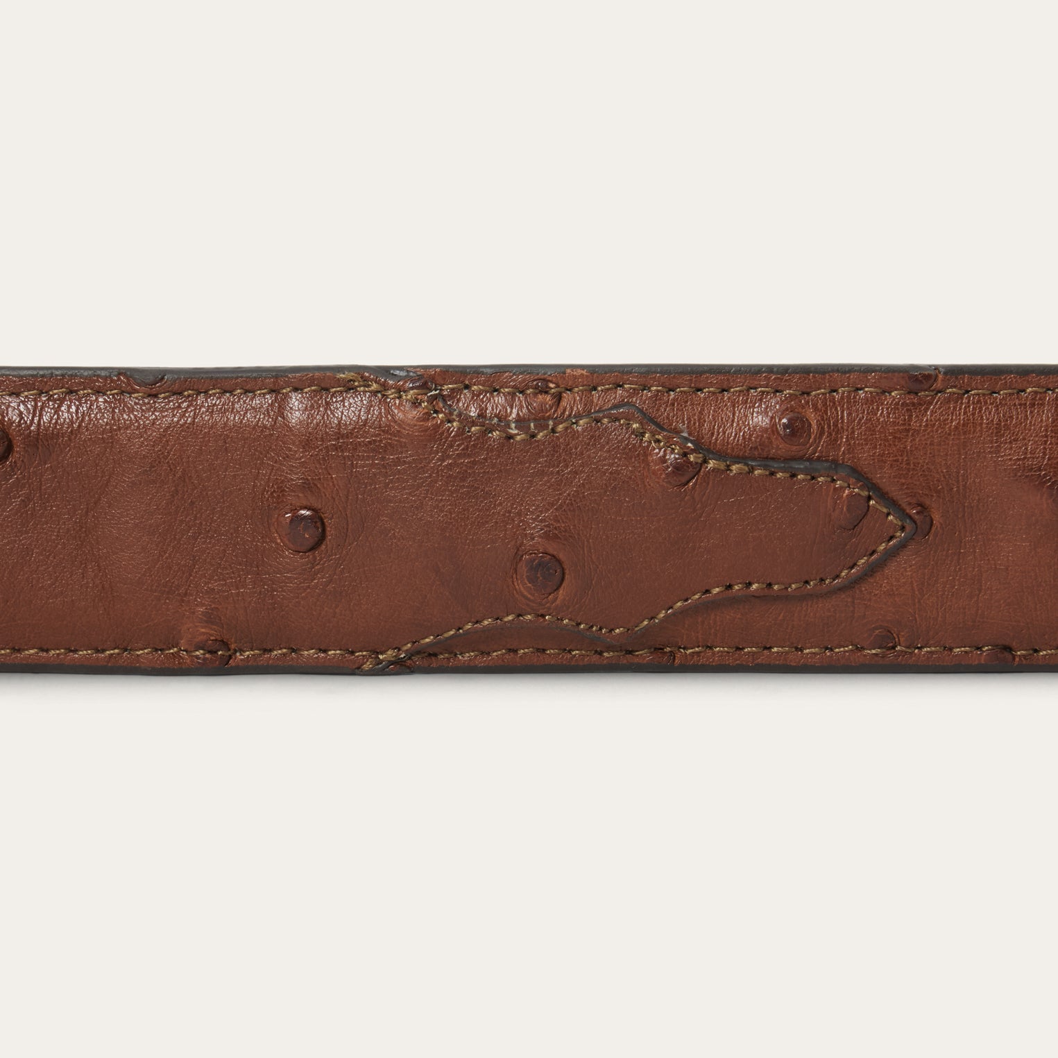 Ostrich Western Tab Belt