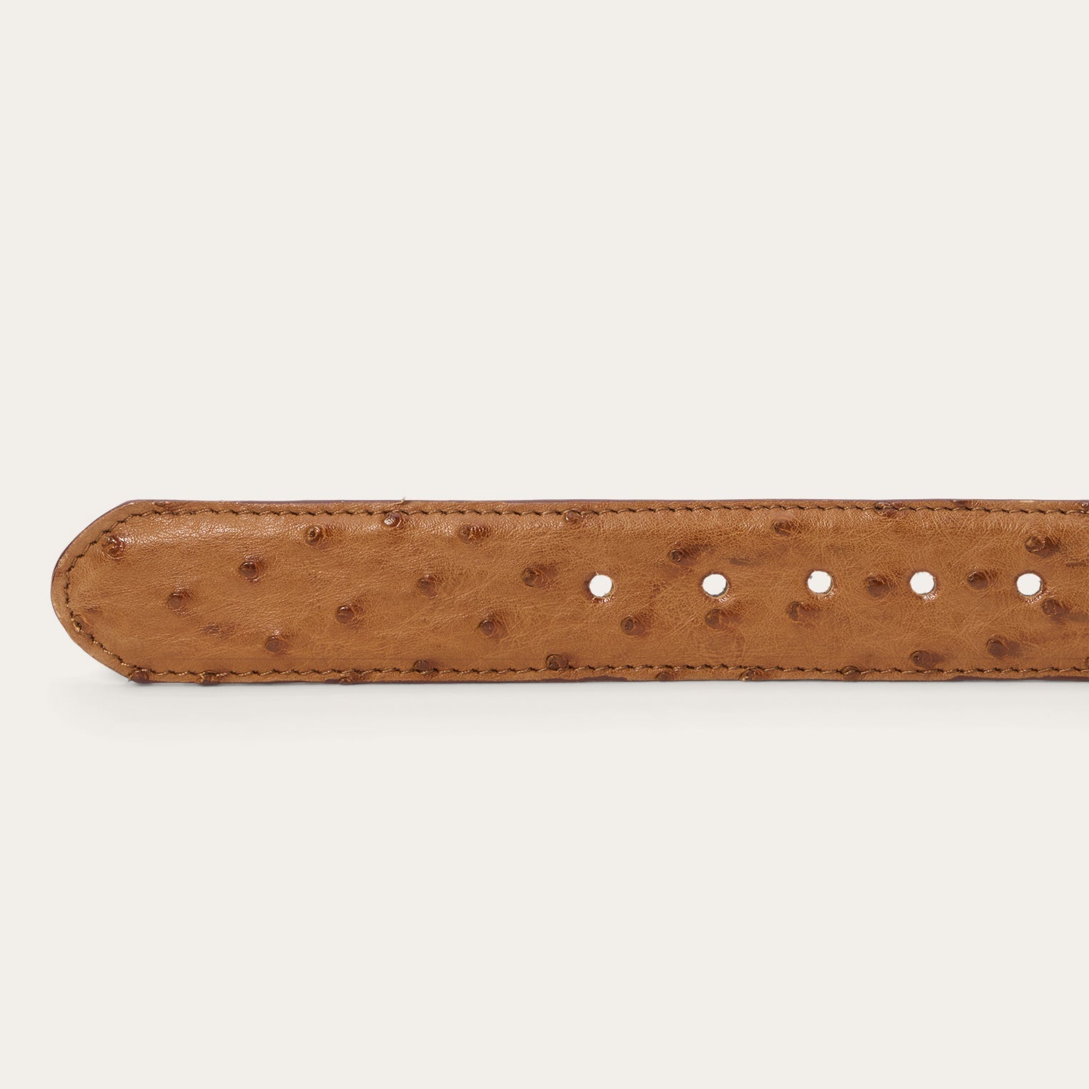Ostrich Western Tab Belt - 1 1/4" Width