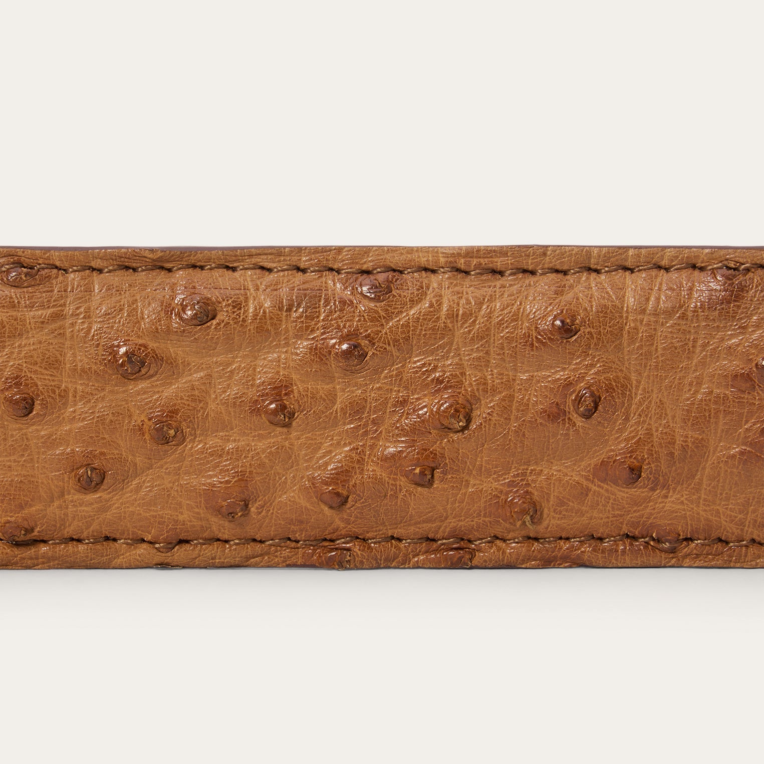 Ostrich Western Tab Belt - 1 1/4" Width
