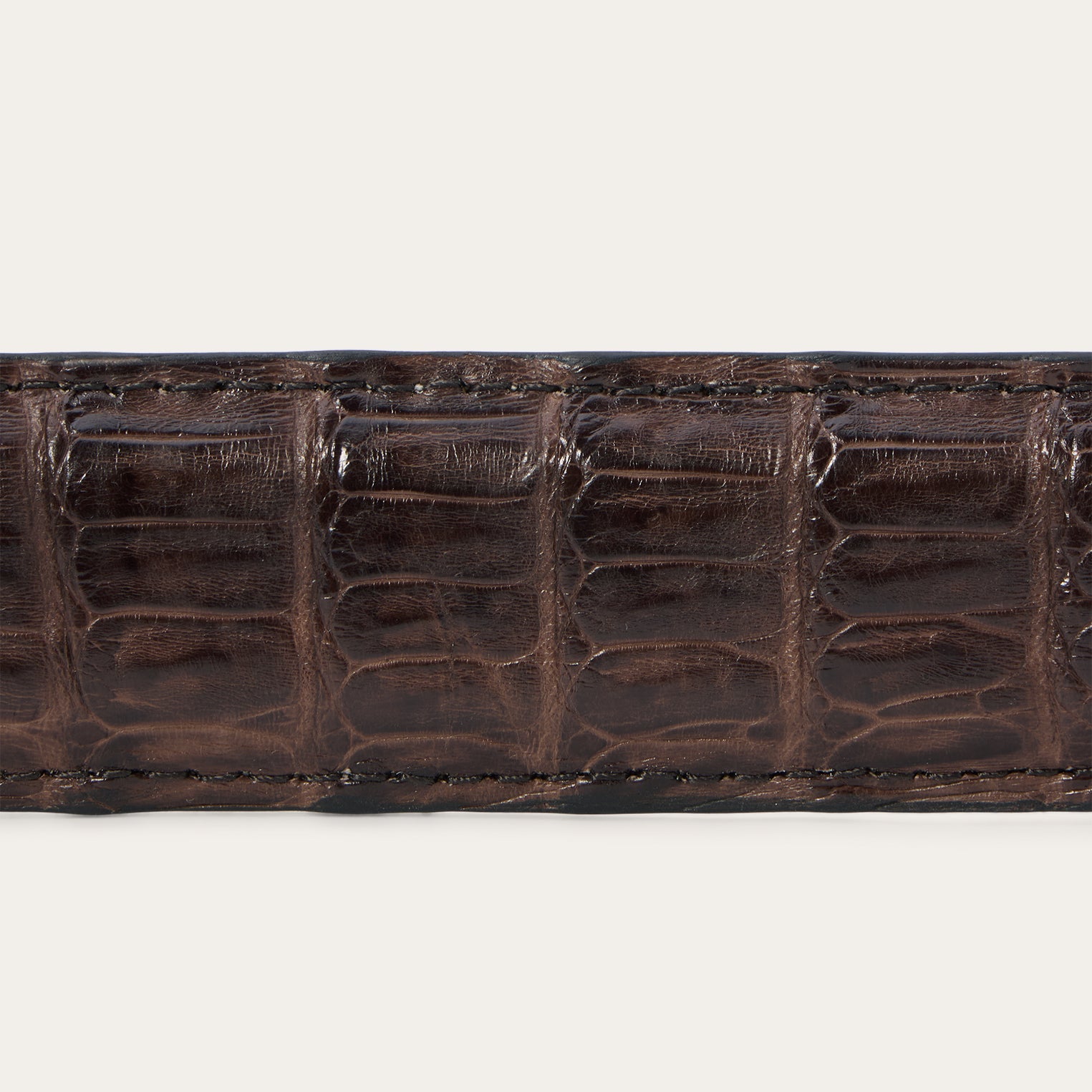 Caiman Western Tab Belt - 1 1/4" Width