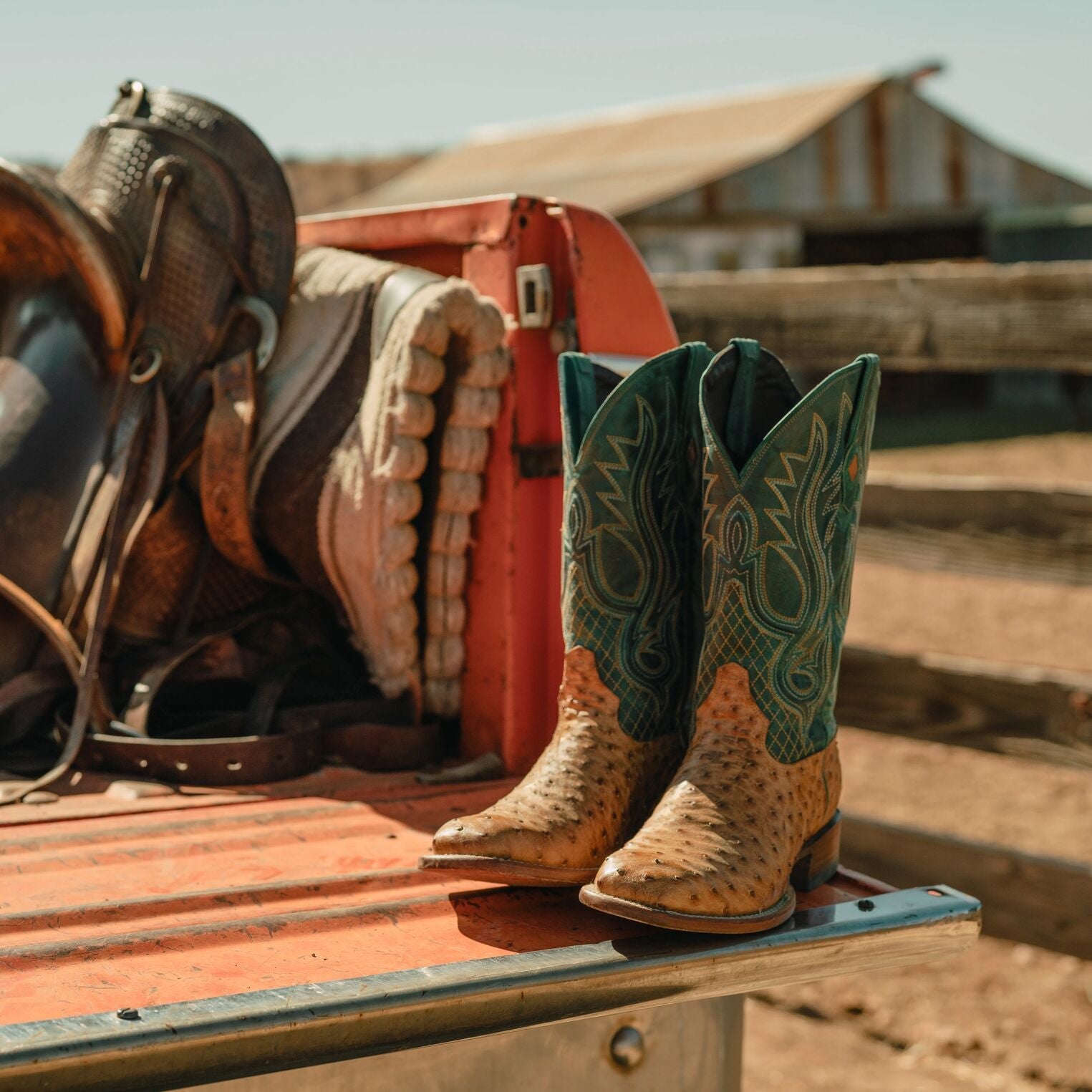 Ozzy Ostrich Boot