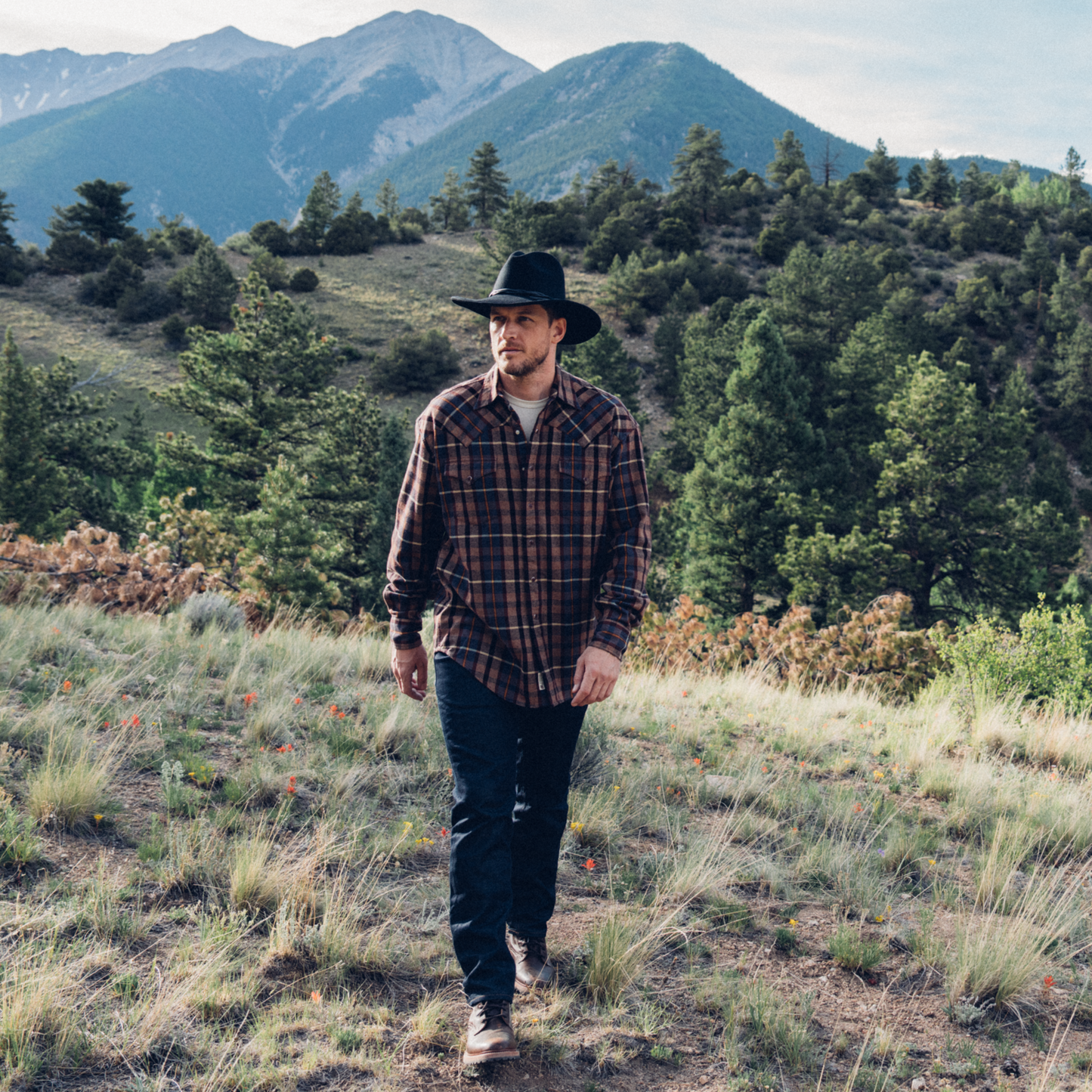 Brushed Flannel Western Shirt